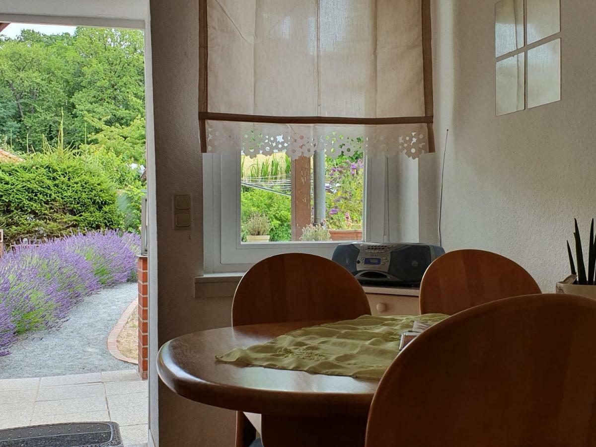 Ferienwohnung Paul 치노비츠 외부 사진